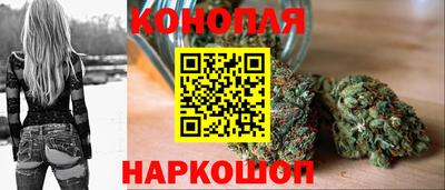 крисы Бузулук